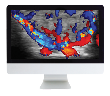 Thyroid Imaging Online Course